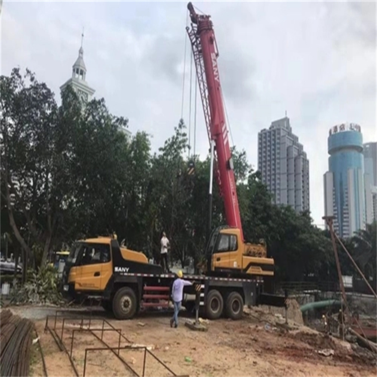 龙文吊车吊大树的几种方法